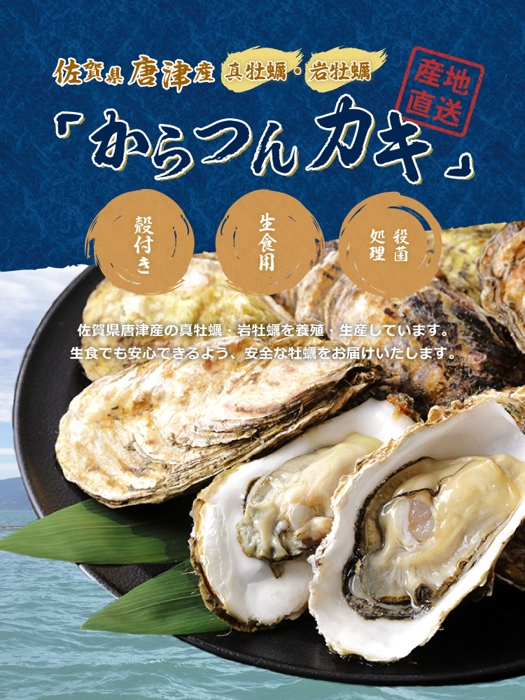 佐賀県唐津産の真牡蠣・岩牡蠣を養殖・生産しています。生食でも安心できるよう、安全な牡蠣をお届けいたします。
