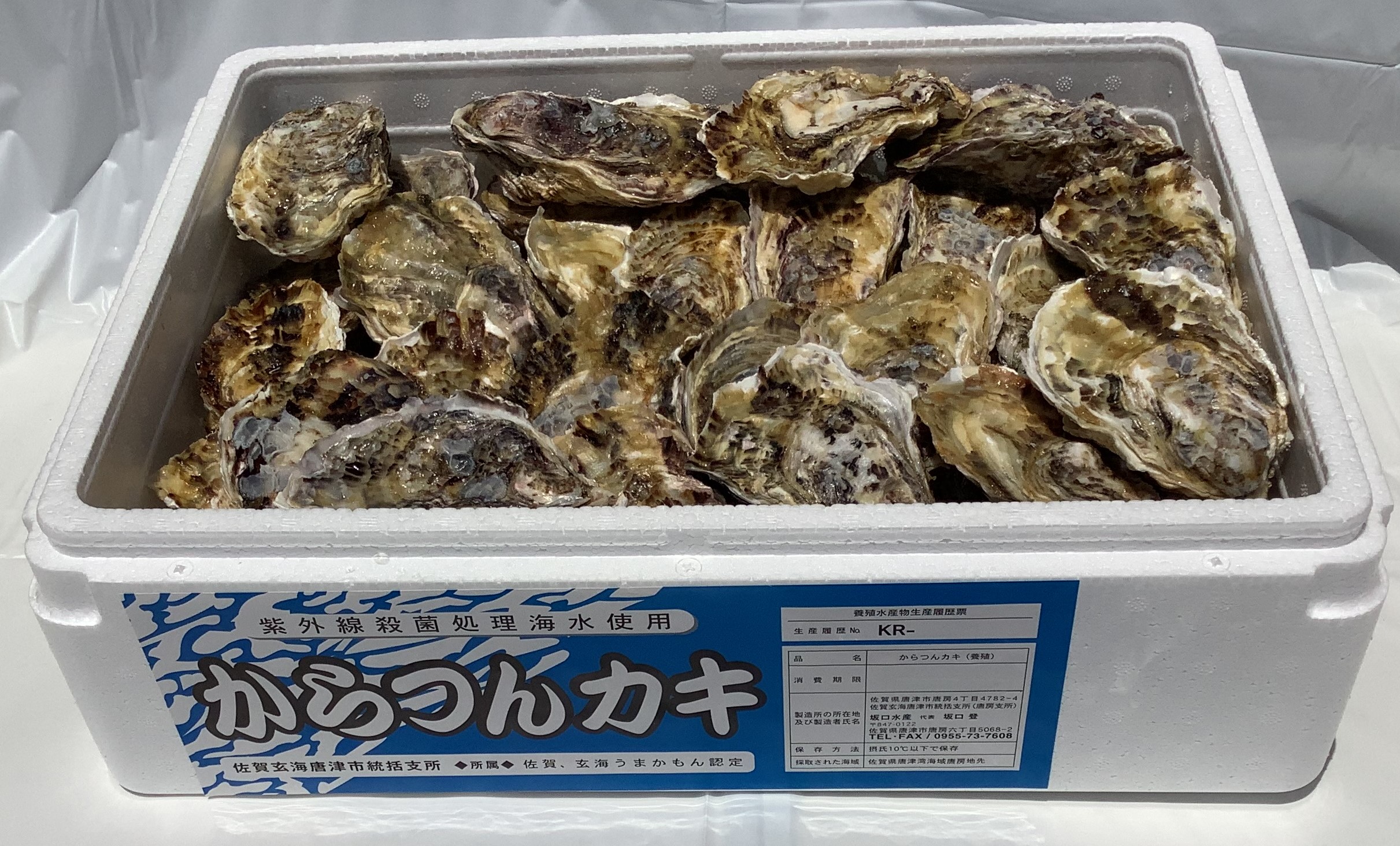 唐津産 真牡蠣・岩牡蠣の通販は【坂口水産】